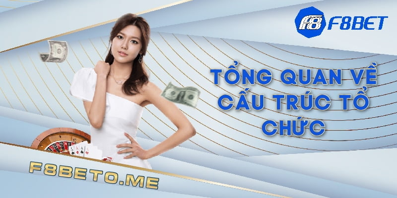 Tổng quan về cấu trúc tổ chức và các thông tin về chúng tôi 