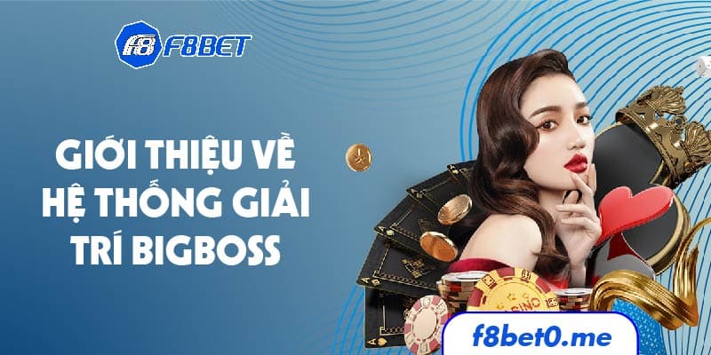 Giới thiệu về hệ thống giải trí Bigboss