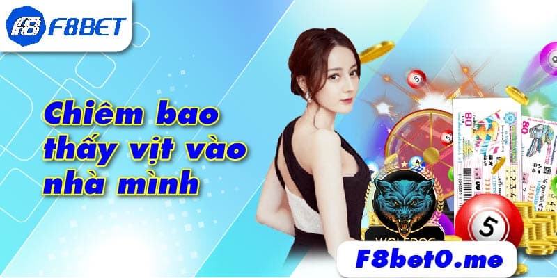 Chiêm bao thấy vịt vào nhà mình